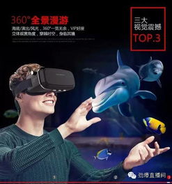 成人VR游戏体验大全：最新VR眼镜设备玩游戏资源精选