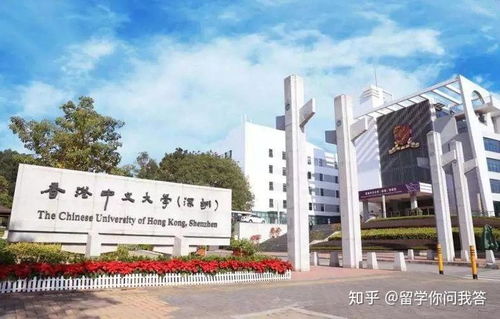 香港大学深圳校区：顶尖本科入学门槛