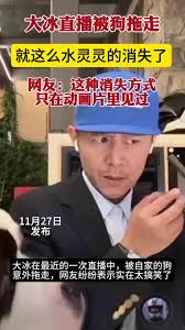 神秘事件：大冰离奇失踪，竟因被狗拖走？