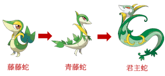 藤藤蛇进化全解析：等级背后的秘密