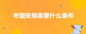 国安局最新招聘动态与应聘全攻略