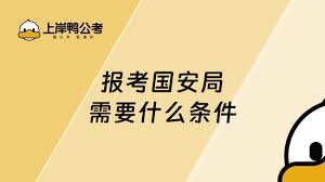 国安局最新招聘动态与应聘全攻略