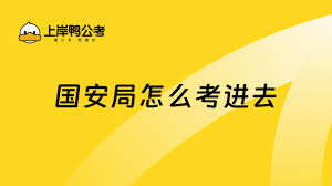 国安局最新招聘动态与应聘全攻略