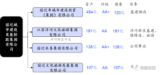 什么是AA平台公司的运作模式与发展前景