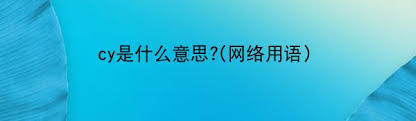 Cy网站：神秘网络世界的入口与真相探寻