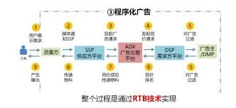 如何理解竞价上网