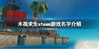 Steam上Raft游戏的价格是多少