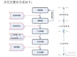 商品猪背后的故事与魅力