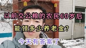 65岁以上老人：您可能有资格获得公粮补贴，快来了解详情