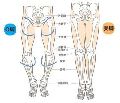 大腿网究竟是什么样的网站？