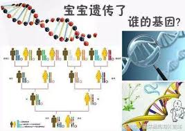 探索外甥像舅的奇妙遗传密码：家族特征的奥秘