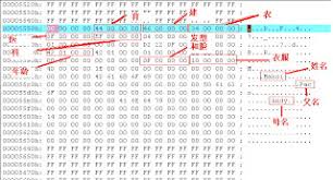 虚拟村庄2新手全攻略指南