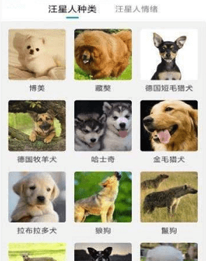 猫狗动物翻译器官网版