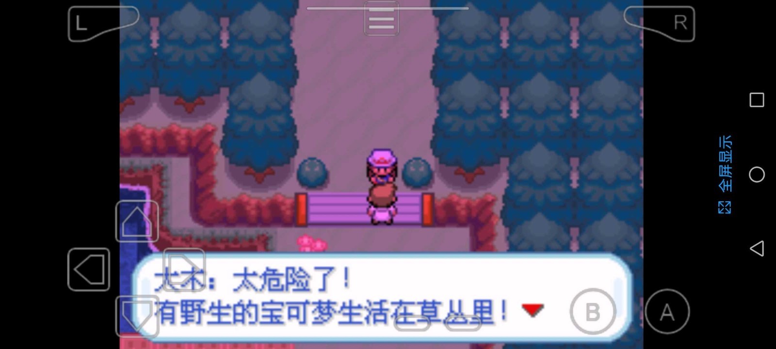 精灵宝可梦圣光白安卓版