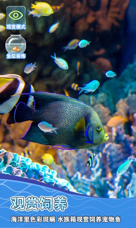 假装鱼缸模拟器4