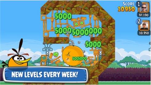 愤怒的小鸟之朋友2