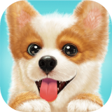 天天小狗最新版